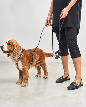 Rimini Dog Leather City-Leash | רצועת עור לכלב