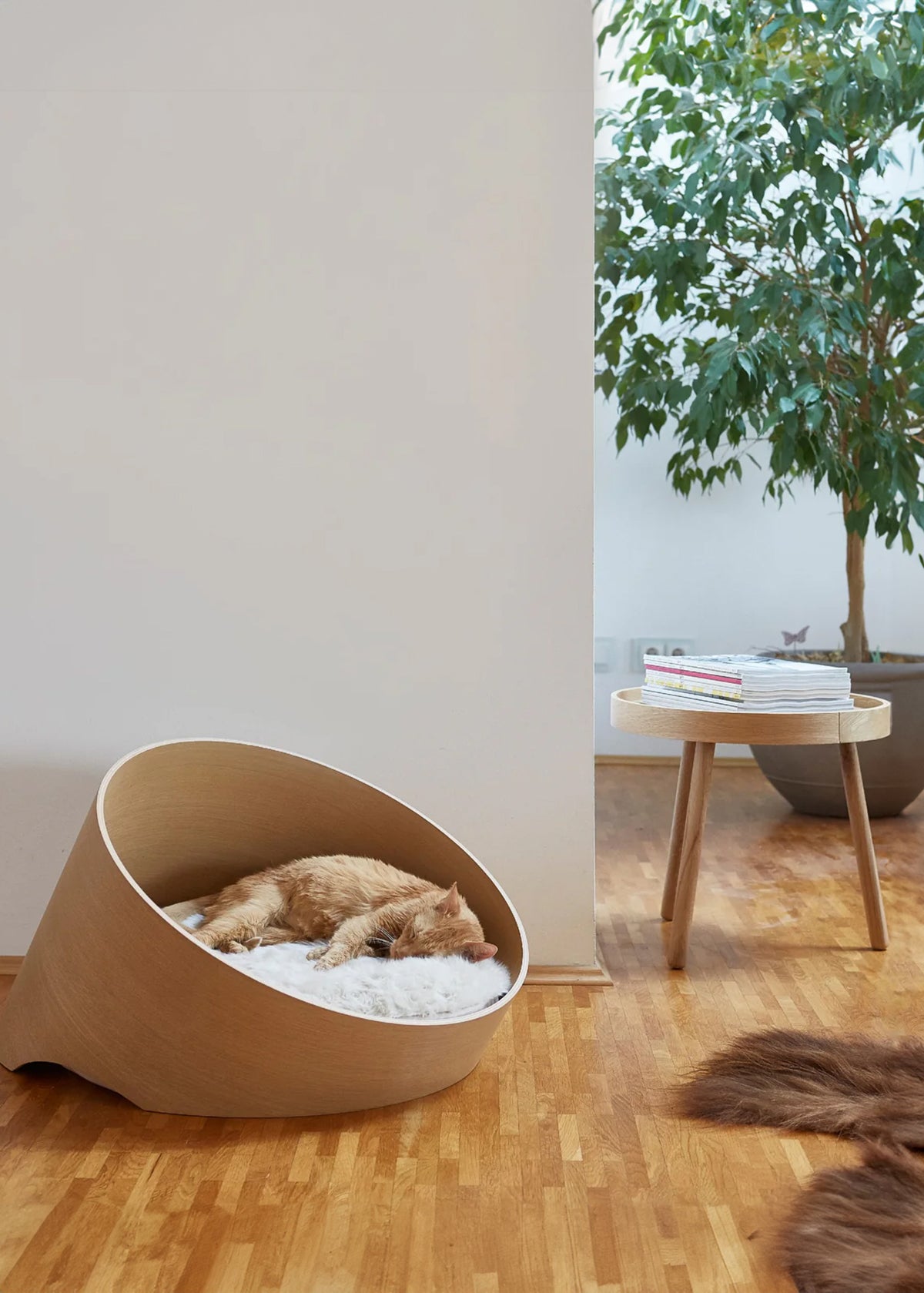 COVO DOG BED | מיטת עץ לכלב