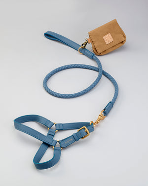 FERDINANDO LEATHER LEAD | רצועת עור לכלב