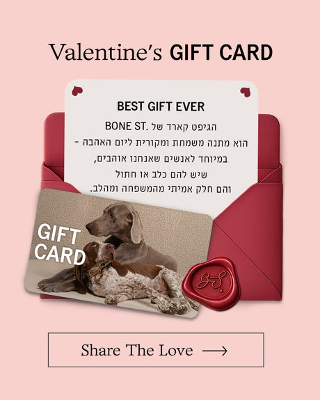 Valentine's Gift Card | כרטיס מתנה להולכים על ארבע ועל שתיים!