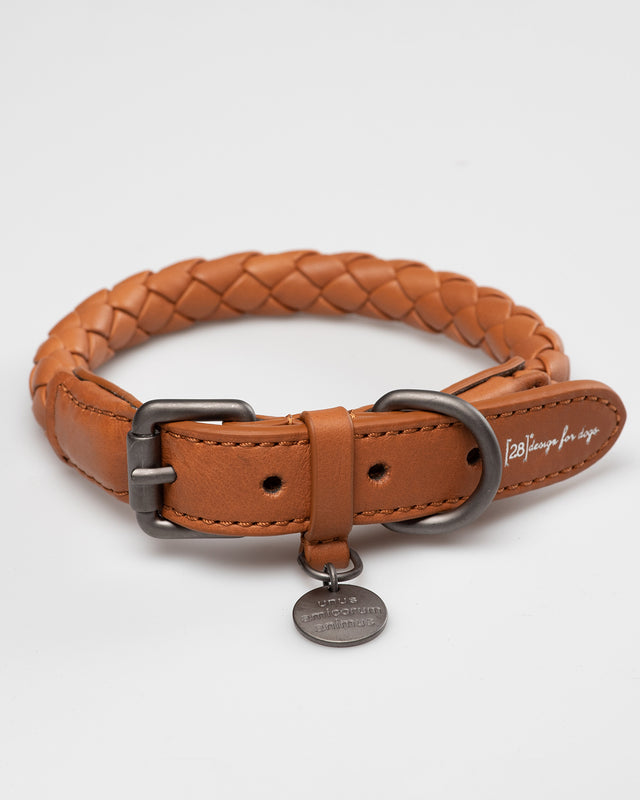  קולר עור לכלבים