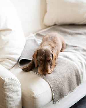 ANSEL RECYCLED WOOL BLANKET | שמיכה לכלב