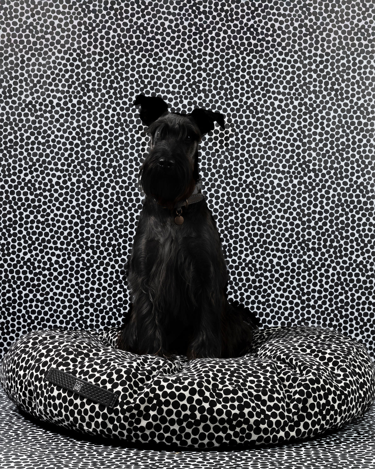 FULVIO DOTTO COLLECTION BED | מיטת פוף לכלב