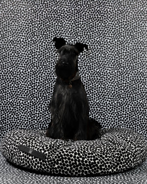 FULVIO DOTTO COLLECTION BED | מיטת פוף לכלב