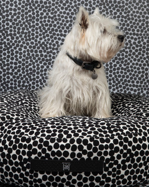 FULVIO DOTTO COLLECTION BED | מיטת פוף לכלב