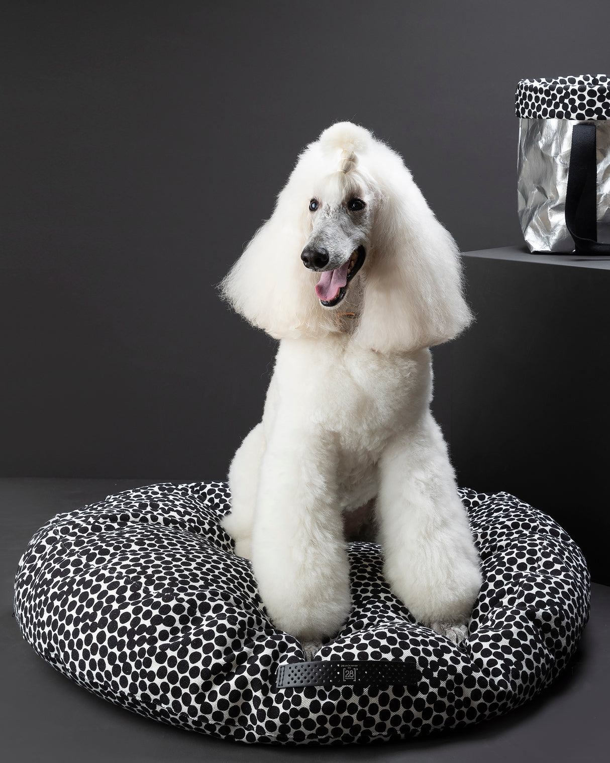 FULVIO DOTTO COLLECTION BED | מיטת פוף לכלב