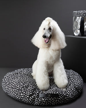 FULVIO DOTTO COLLECTION BED | מיטת פוף לכלב