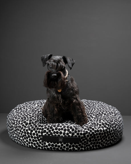 FULVIO DOTTO COLLECTION BED | מיטת פוף לכלב