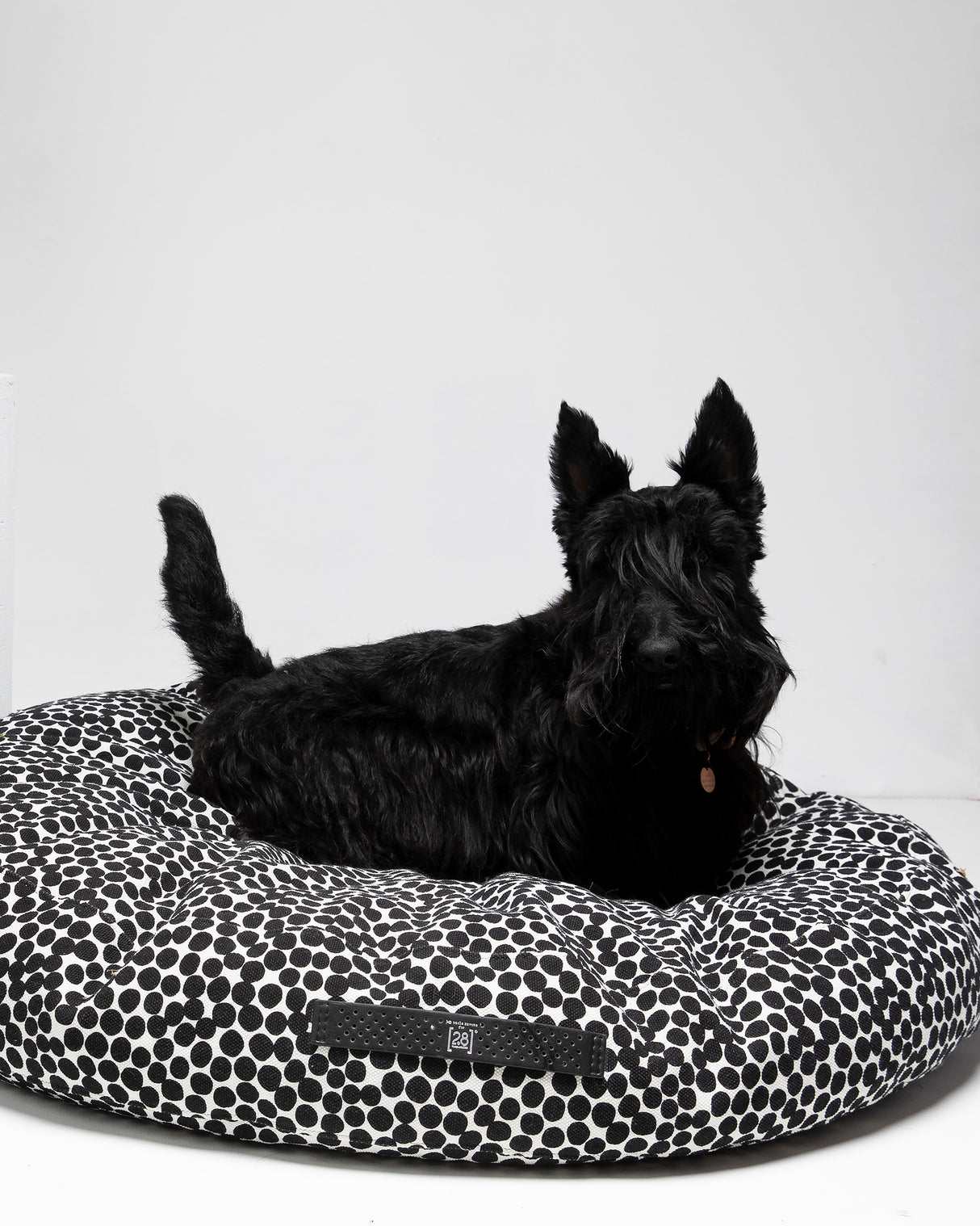 FULVIO DOTTO COLLECTION BED | מיטת פוף לכלב