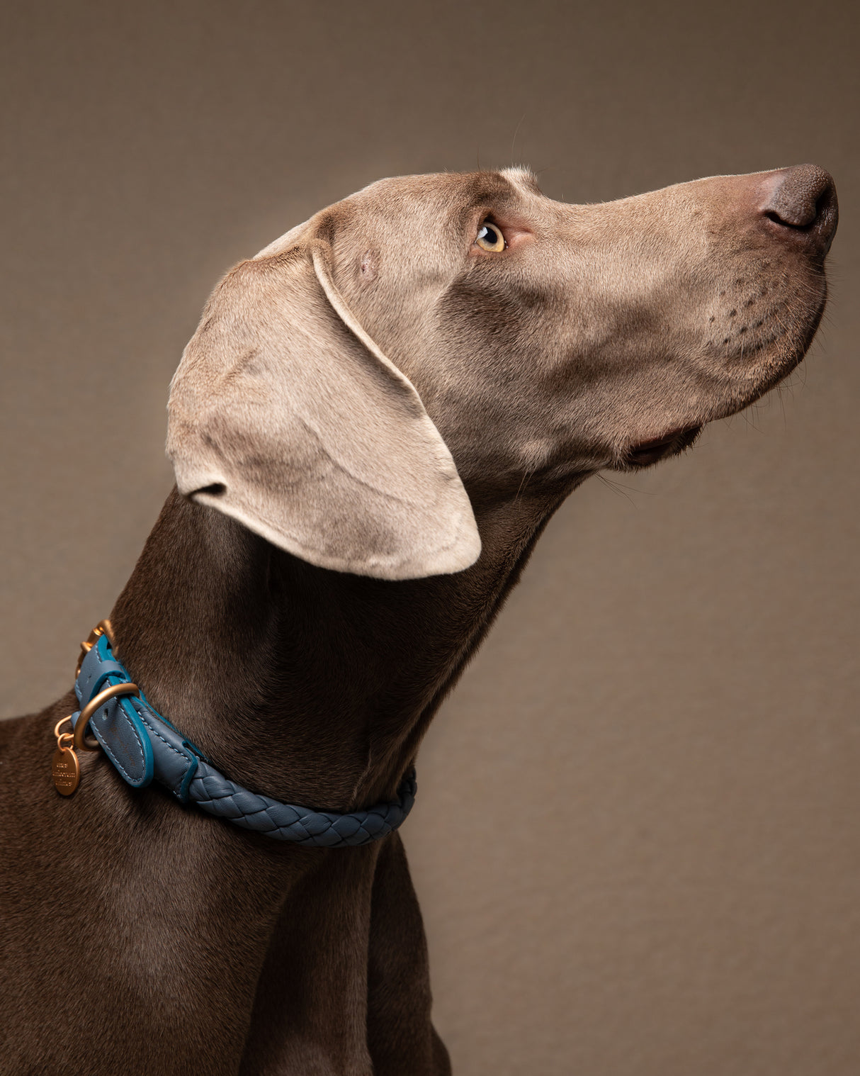 קולר קלוע לכלב מעור נאפה איטלקי | FERDINANDO NAPPA LEATHER COLLAR