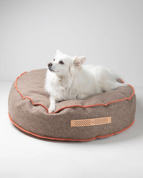 מיטת פוף לכלב מצמר איטלקי ממוחזר | FULVIO DOG BED