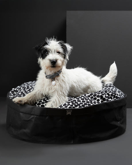 IRVING DOTTO COLLECTION DOG & CAT BED | מיטה לכלבים ולחתולים