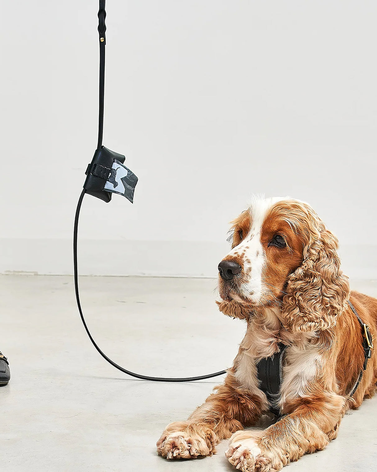 Rimini Dog Leather City-Leash | רצועת עור לכלב