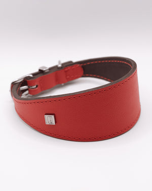 HOUND LEATHER COLLAR | קולר מעור לכלב