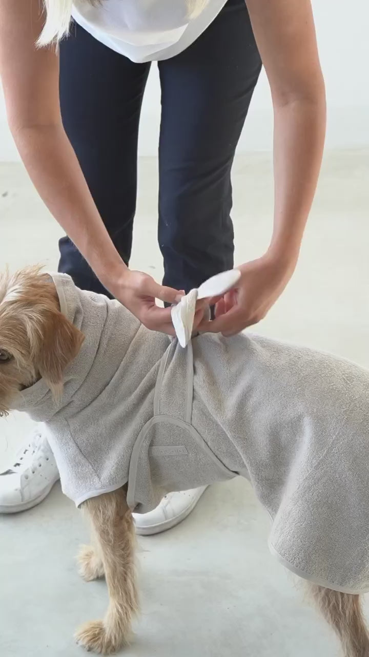חלוק רחצה לכלב מכותנה אורגנית | BAGNO DOG BATHROBE