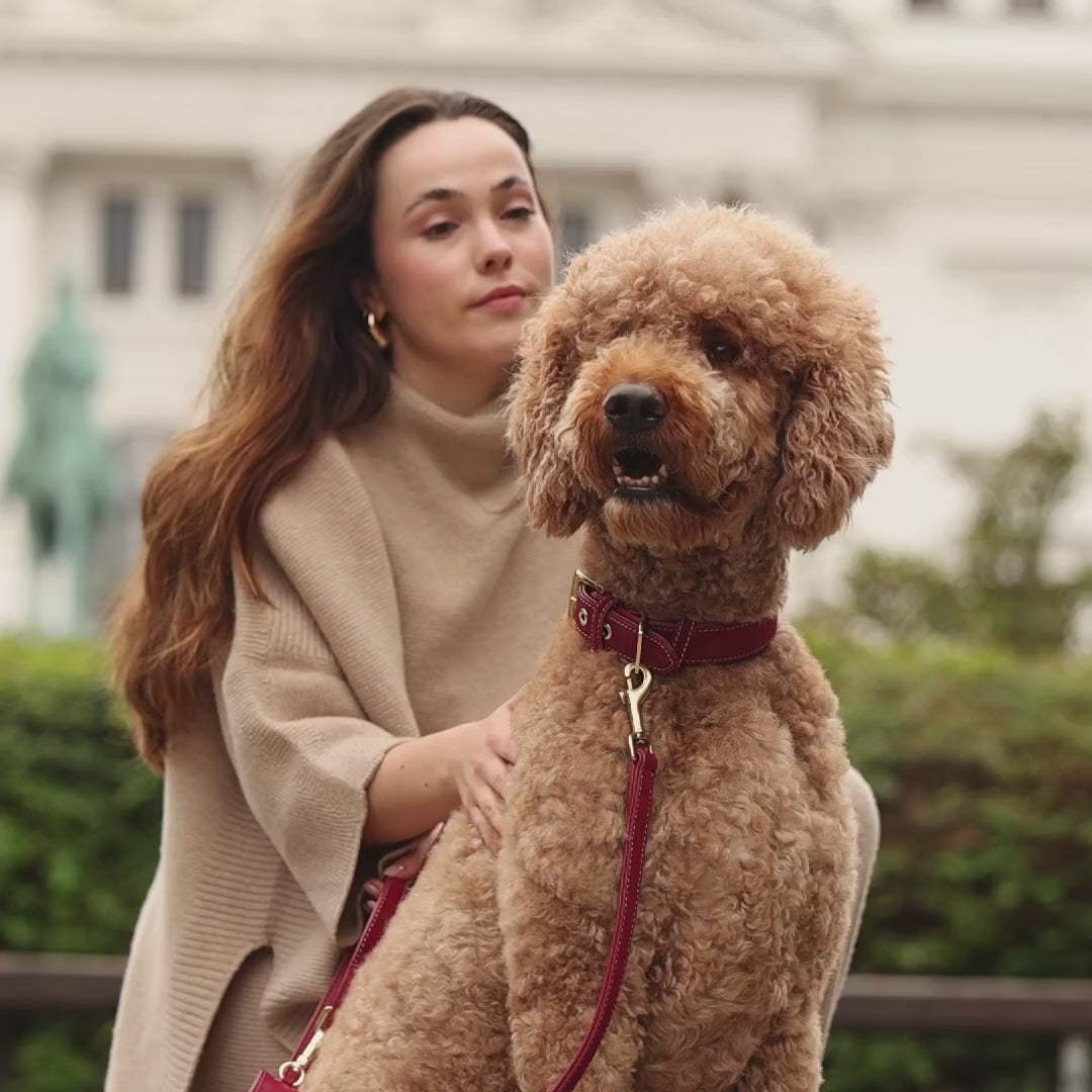 Luxe Suede Leather Dog Leash | רצועת עור ארוכה ומתכווננת לכלב