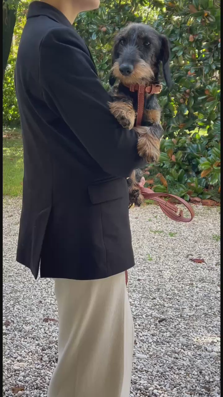 GABRIELE NAPPA LEATHER DOG HARNESS | רתמת עור נאפה לכלב