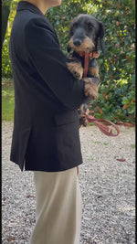 GABRIELE NAPPA LEATHER DOG HARNESS | רתמת עור נאפה לכלב