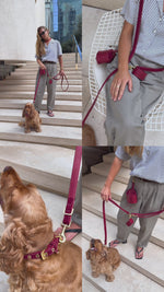 Luxe Suede Leather Dog Leash | רצועת עור ארוכה ומתכווננת לכלב