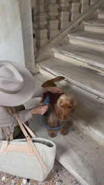 MARIO WIDE LEATHER COLLAR | קולר עור נאפה רחב לכלב