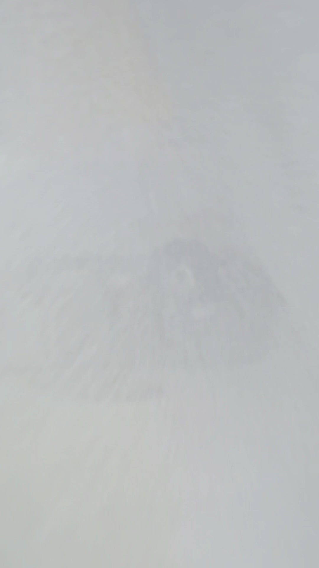 HENRI RECYCLED WOOL BED | מיטה לכלב