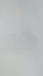 HENRI RECYCLED WOOL BED | מיטה לכלב