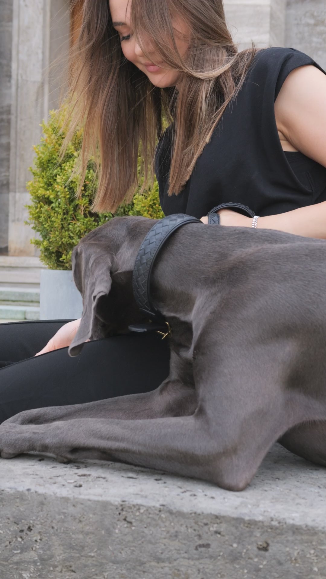 Prestige Leather Poo Treat Bag | נרתיק חטיפים מעור לכלב