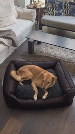 HENRI DARK COWHIDE DOG BED | מיטה לכלב