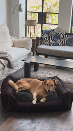 HENRI DARK COWHIDE BED | מיטה לכלב