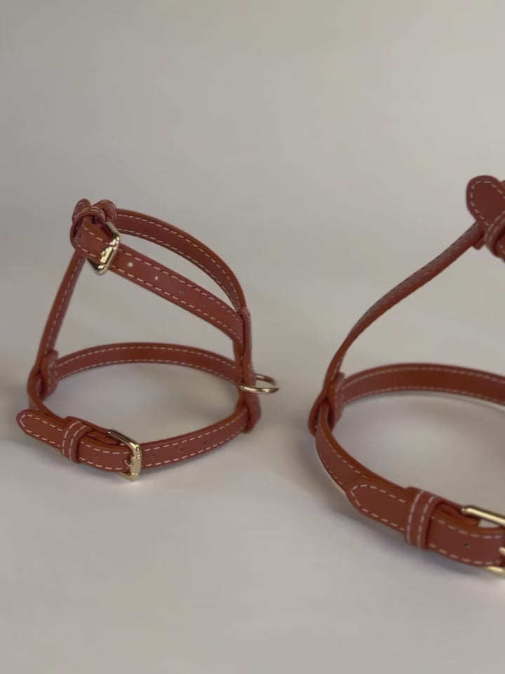 GABRIELE NAPPA LEATHER DOG HARNESS | רתמת עור נאפה לכלב