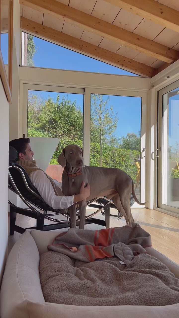 HENRI ORGANIC COTTON BED | מיטה לכלב