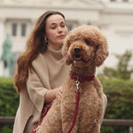 Luxe Suede Leather Dog Leash | רצועת עור ארוכה ומתכווננת לכלב