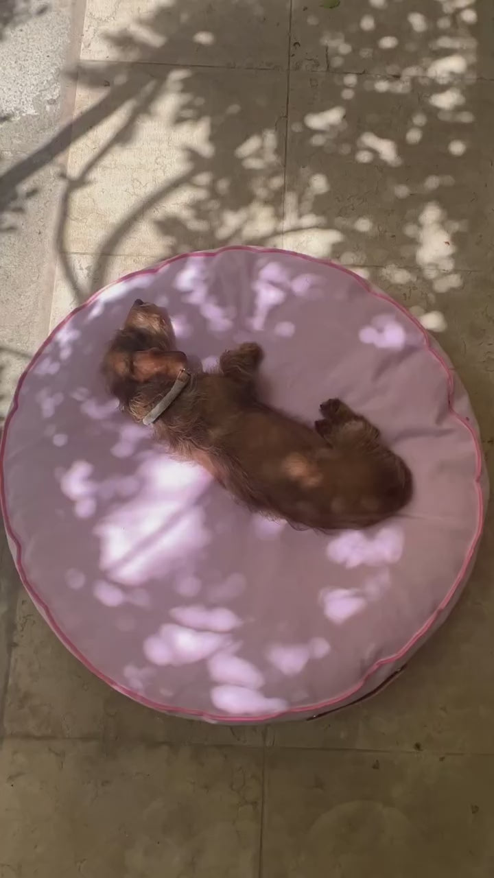 מיטת פוף לכלב מכותנת Duck איטלקית | FULVIO DOG BED