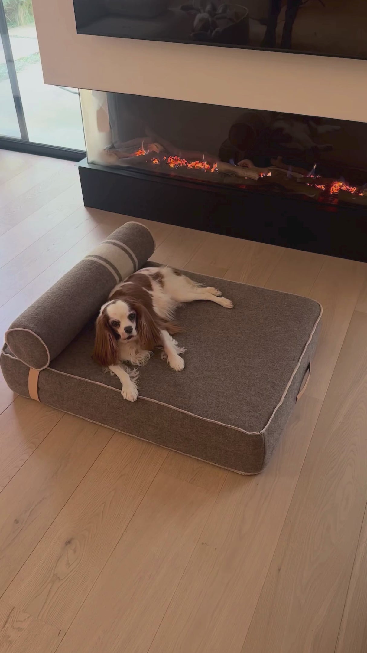 מיטת לאונג׳ לכלב מצמר איטלקי ממוחזר | GIAMPAOLO DOG LOUNGE BED