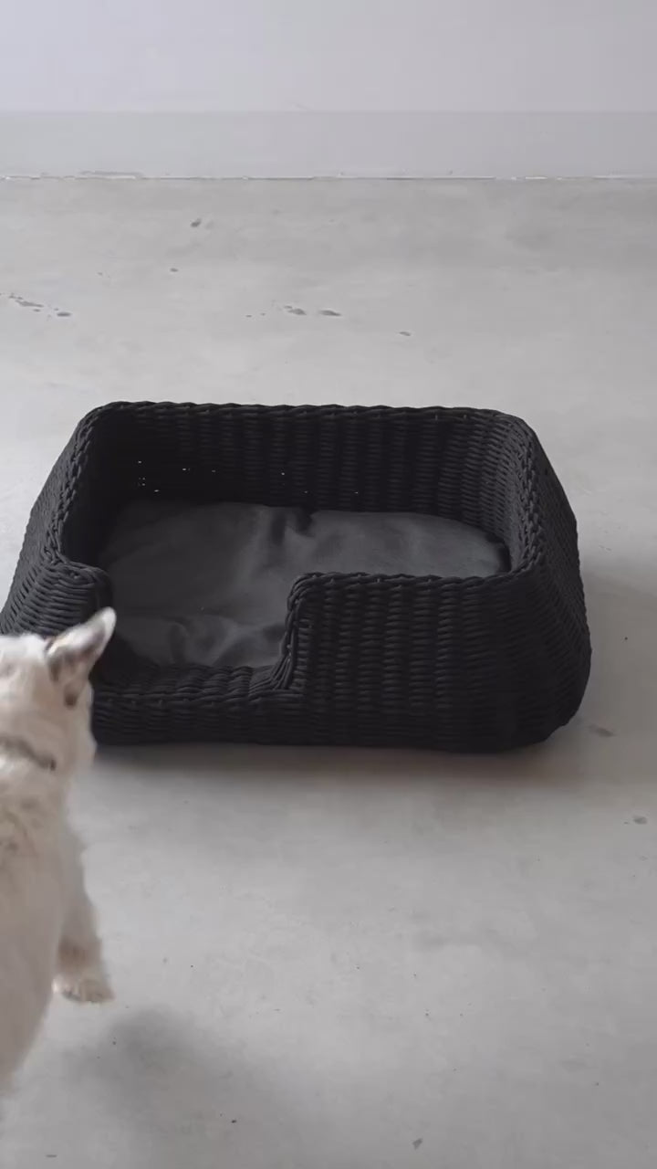 MIO ROPE DOG BED BASKET | מיטת פנים וחוץ לכלבים