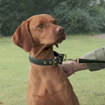 Prestige Leather Poo Treat Bag | נרתיק חטיפים מעור לכלב