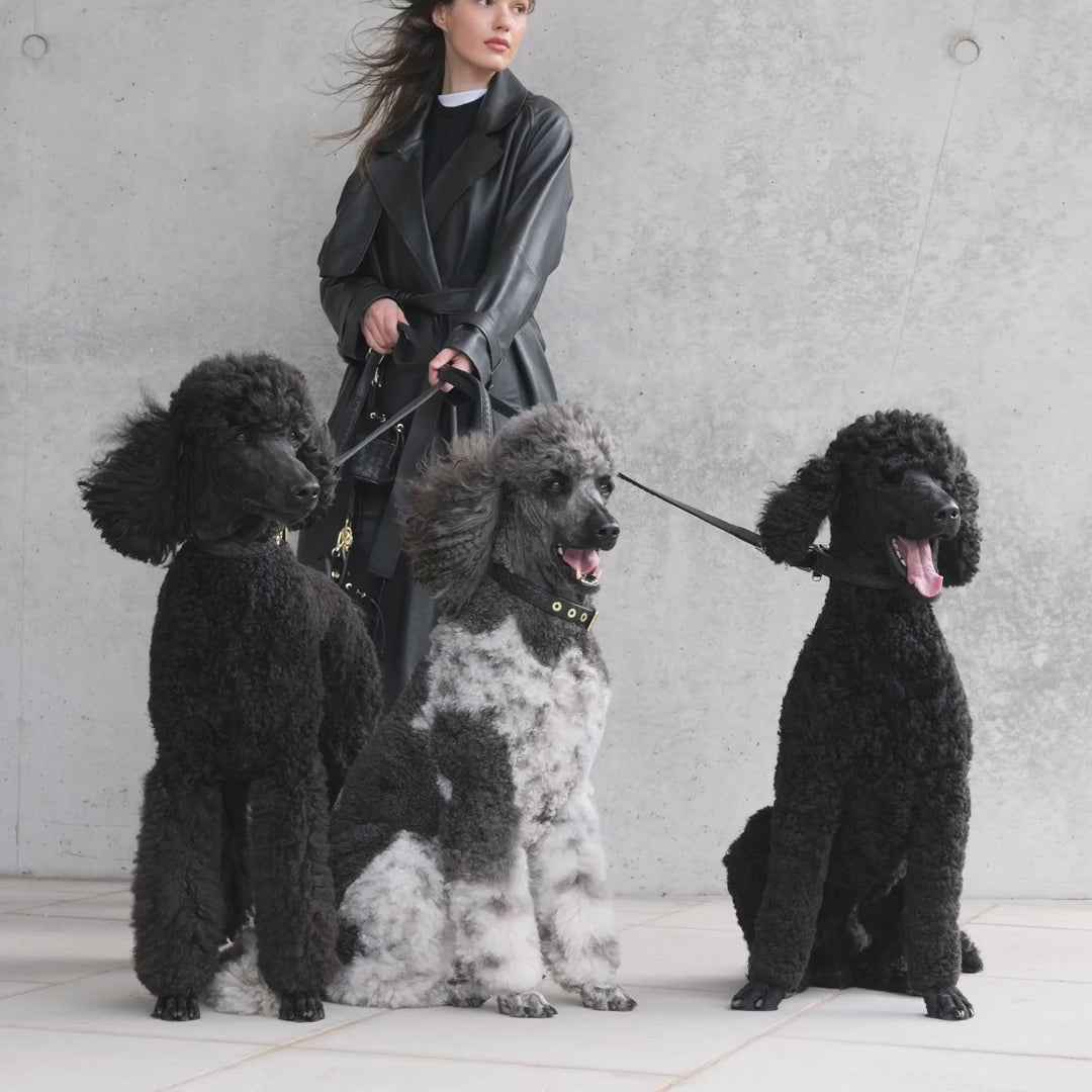 Prestige Leather Poo Treat Bag | נרתיק חטיפים מעור לכלב