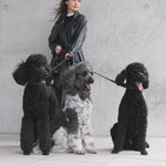 Prestige Leather Poo Treat Bag | נרתיק חטיפים מעור לכלב