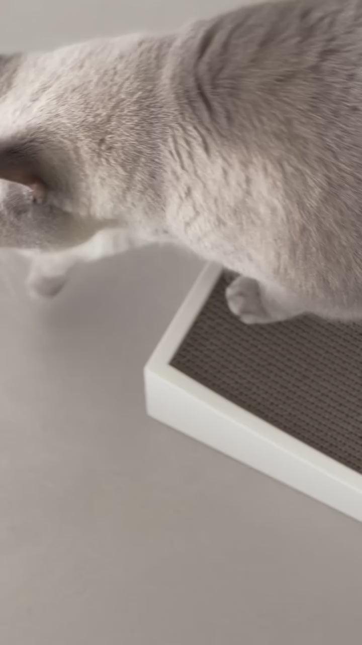 GRATTA CAT SCRATCHING BOARD | משטח גירוד לחתולים