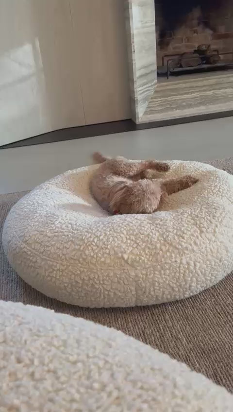 FULVIO BOUCLÉ WOOL BED | מיטת פוף לכלב