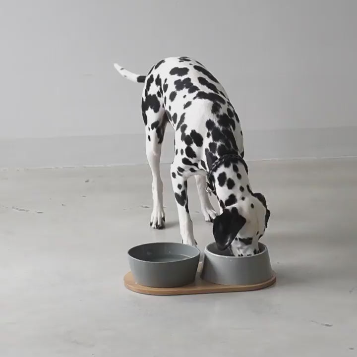 DOPPIO DOG BOWLS SET | סט קערות לכלב