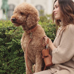 Luxe Smooth Leather Dog Collar | קולר עור נאפה לכלב