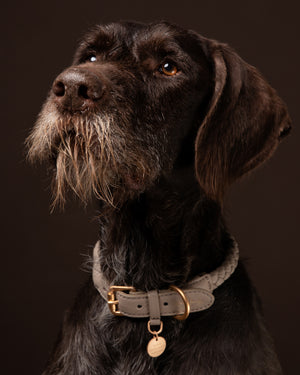 קולר קלוע לכלב מעור נאפה איטלקי | FERDINANDO NAPPA LEATHER COLLAR