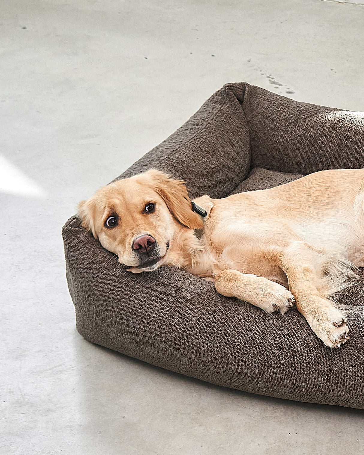 MONDO DOG BOX BED | מיטה לכלב