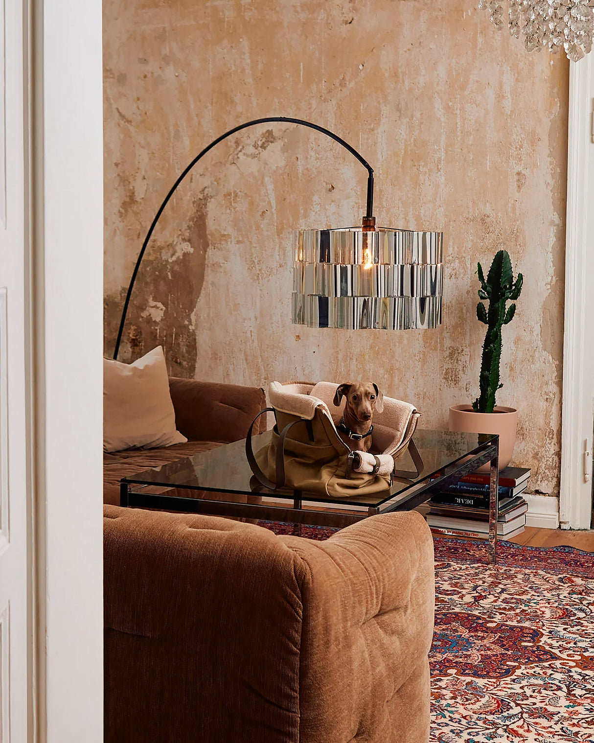 תיק נשיאה לכלב מכותנת קנבס דוחה מים | Tasca Dog Cotton Carrier Bag