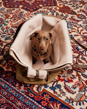 תיק נשיאה לכלב מכותנת קנבס דוחה מים | Tasca Dog Cotton Carrier Bag