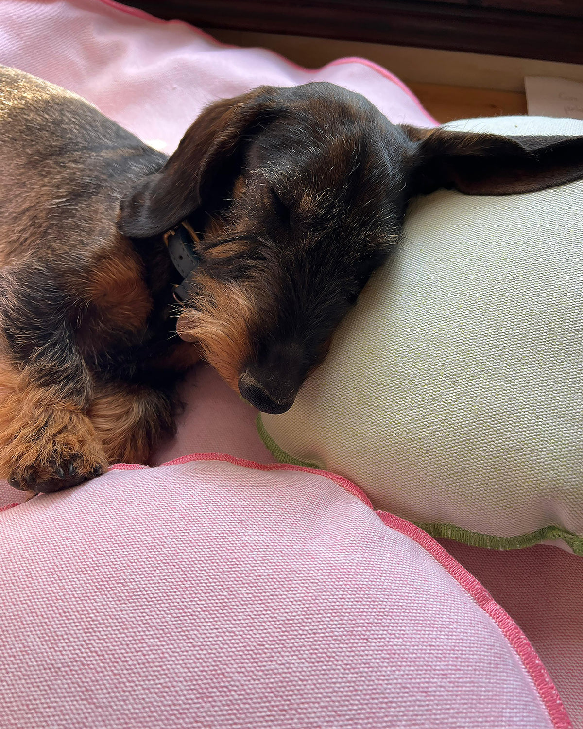 כרית ראש משלימה מכותנת Duck איטלקית | SAUL DOG HEAD CUSHION