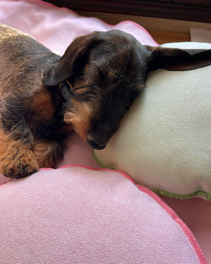 כרית ראש משלימה מכותנת Duck איטלקית | SAUL DOG HEAD CUSHION