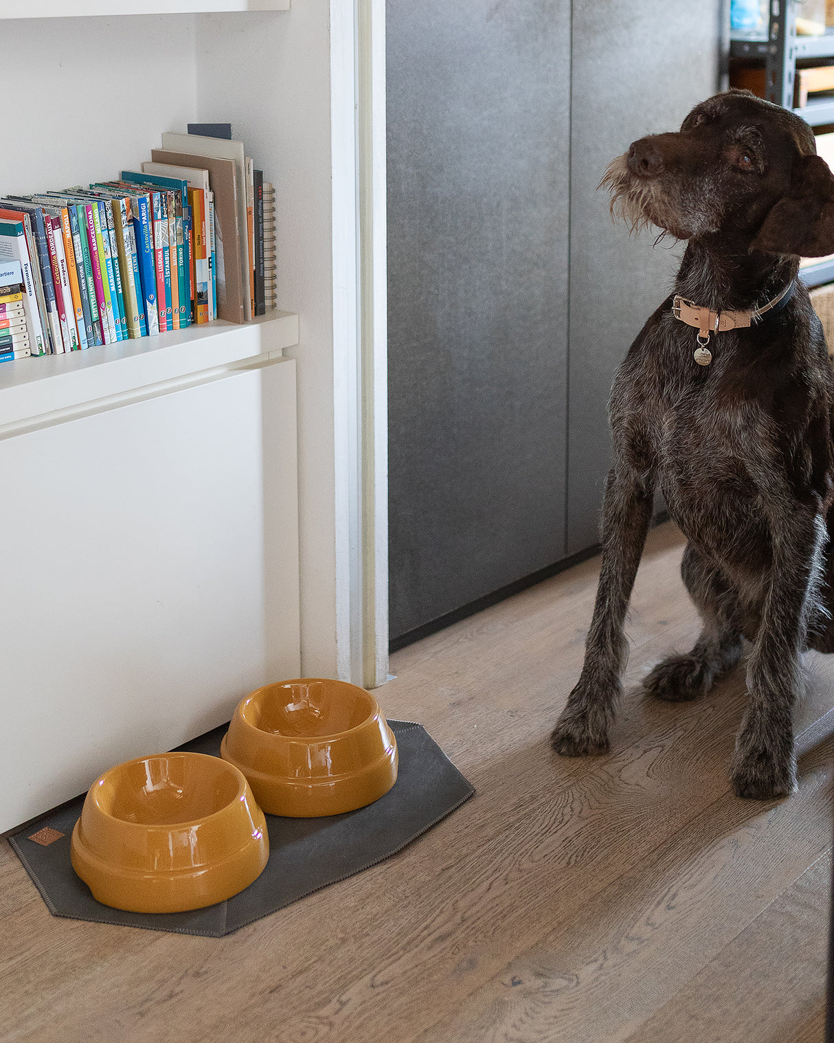 SEBASTIÃO CERAMIC DOG BOWLS |  קערת קרמיקה לכלב