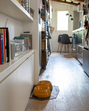 SEBASTIÃO CERAMIC DOG BOWLS |  קערת קרמיקה לכלב